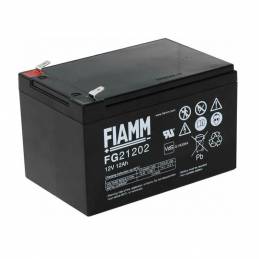 Batería FG21202 FIAMM...