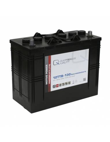 Batería de tracción Q-Batteries 12TTB-130 (Placa Tubular)