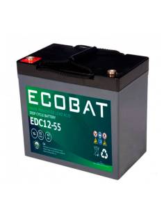Batería AGM 55ah 12v Ecobat EDC1255